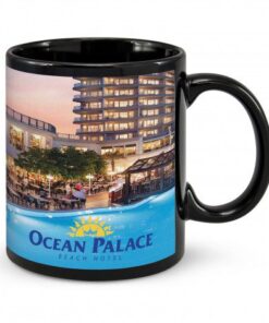 Black Hawk Coffee Mug